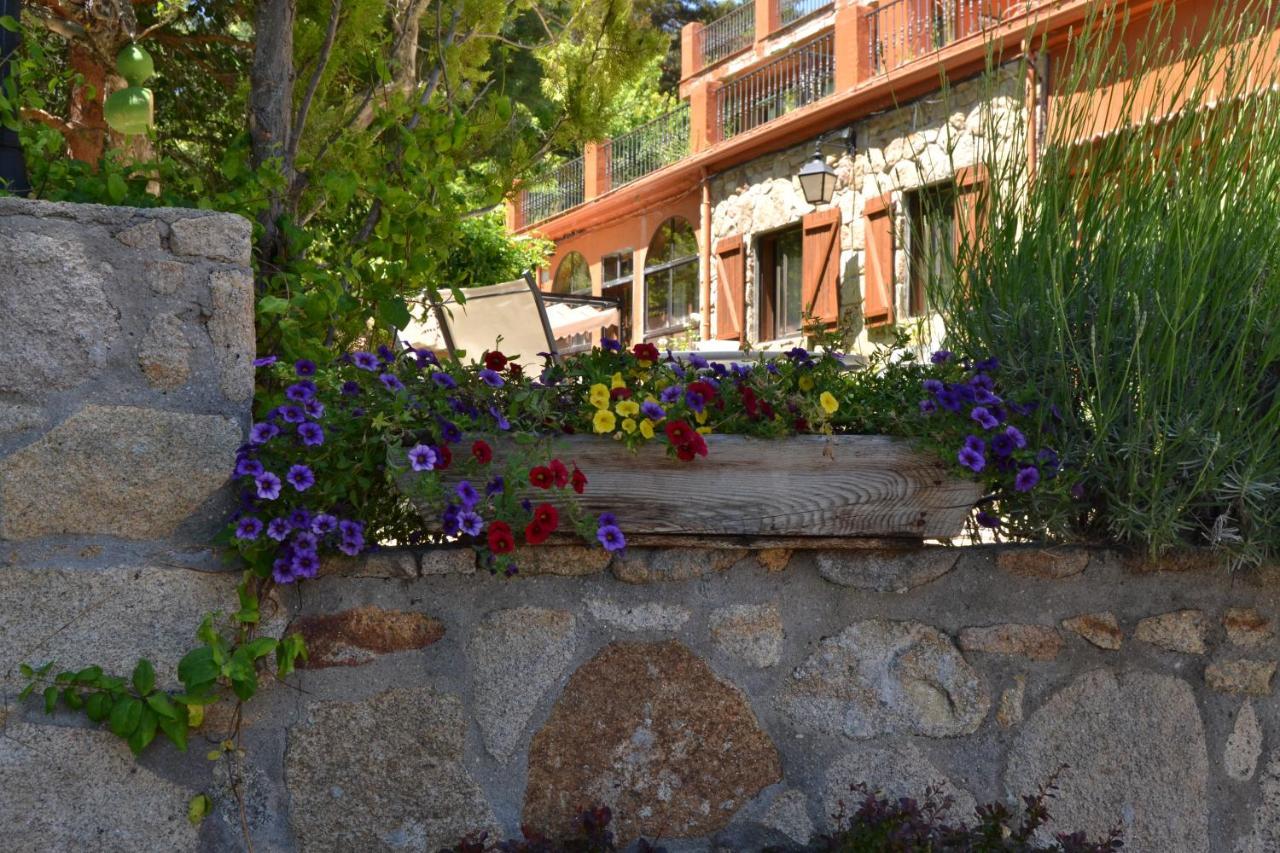 Hospedium Hostal Almanzor Navarredonda de Gredos Buitenkant foto